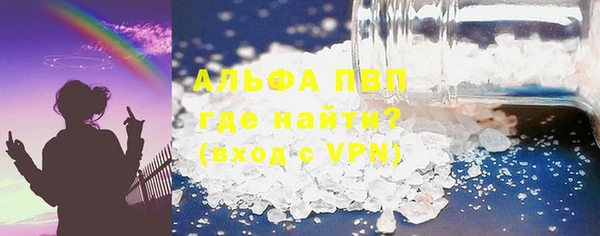 стафф Осташков