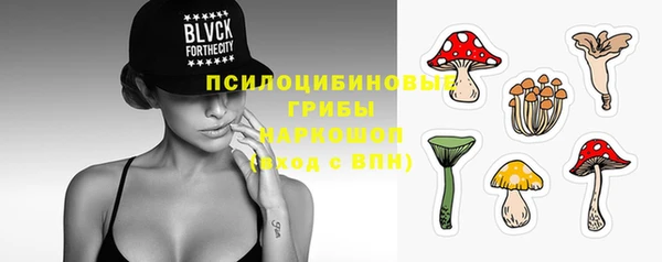 стафф Осташков