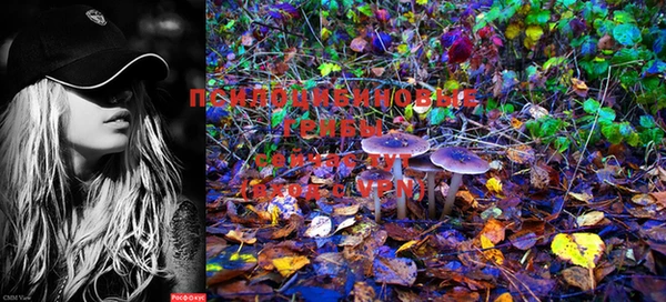 mix Осинники