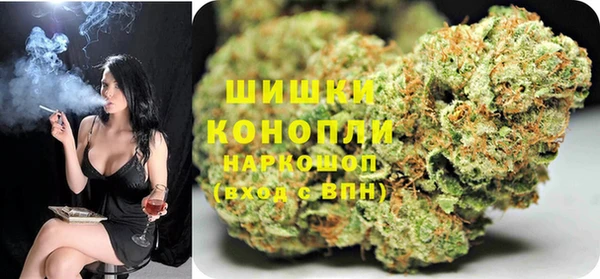 стафф Осташков