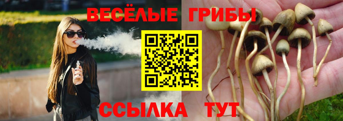 купить наркотик  Псилоцибиновые грибы Psilocybine cubensis  Вход с VPN  Лыткарино 